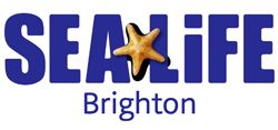 SEA LIFE Brighton - SEA LIFE Brighton - Huge savings for Carers