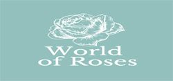 World of Roses  - The Perfect Gift Rose For Every Occasion. - 15% Carers discount