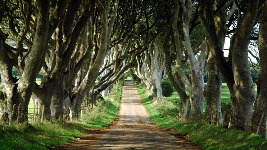 Game of Thrones Location Tours - 10% Carers discount