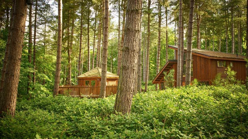 UK Forest Holiday Lodge Breaks - Up to 15% off for Carers