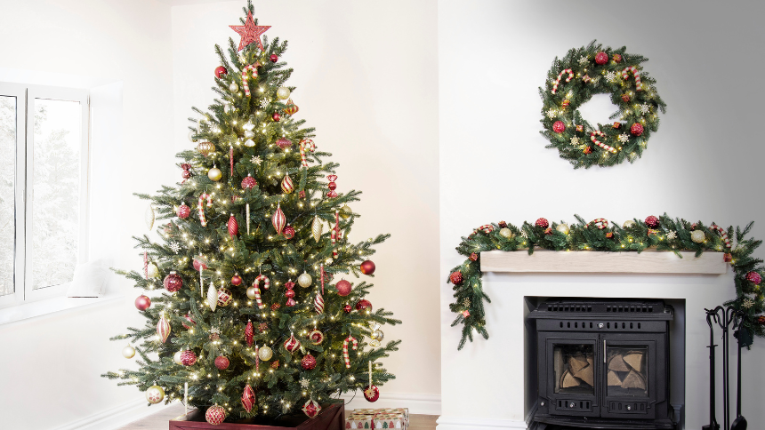 Christmas Tree World - 10% Carers discount sitewide