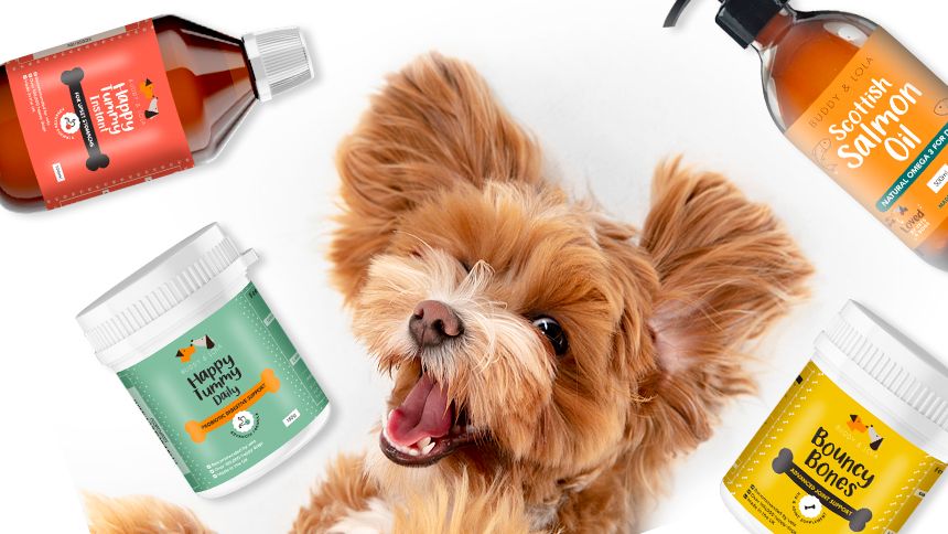 Natural Dog Supplements - 20% Carers discount